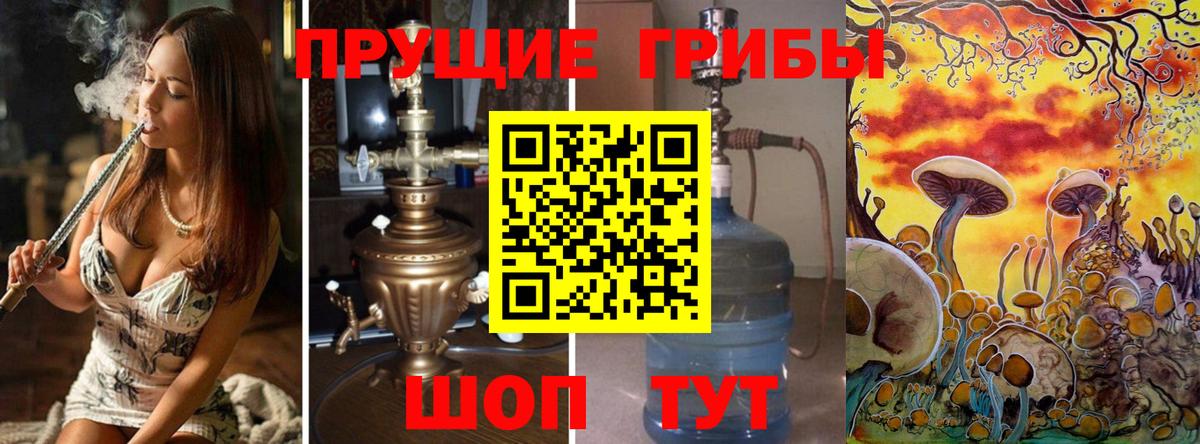 Псилоцибиновые грибы прущие грибы  Псилоцибиновые грибы Psilocybine cubensis  Старая Русса  Вход с VPN 