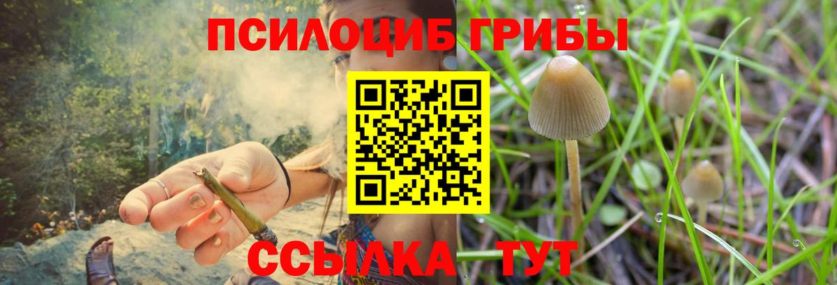 Галлюциногенные грибы Magic Shrooms Старая Русса